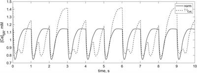 In silico analysis of the contribution of cardiomyocyte-fibroblast electromechanical interaction to the arrhythmia